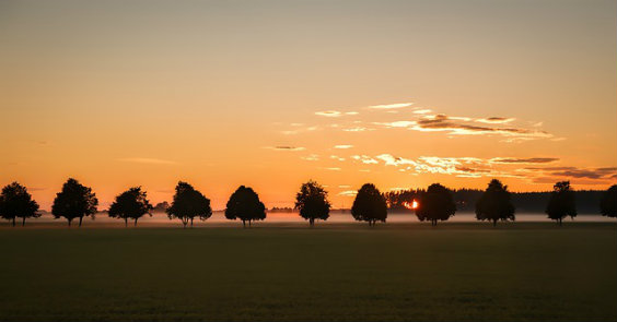 Baumreihe, Himmel