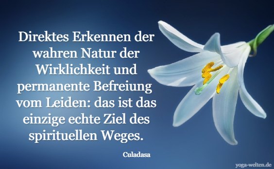 Zitat Culadasa: das Ziel des spirituellen Weges