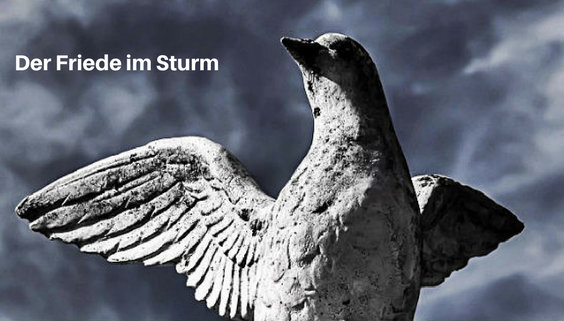 Taube im Sturm