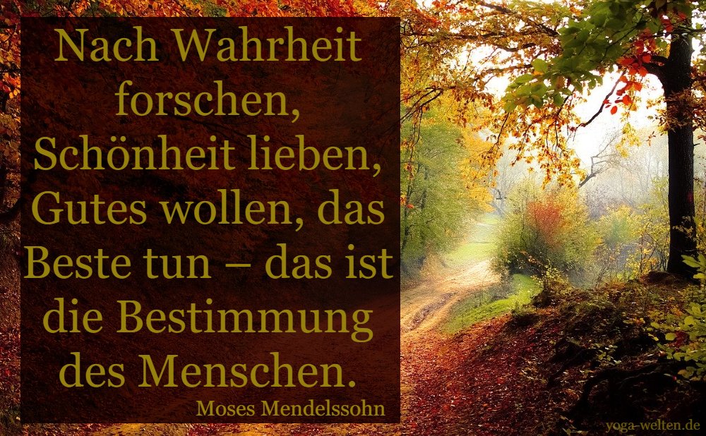 Zitat Mendelssohn: Die Bestimmung des Menschen