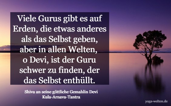 Zitat Shiva an Devi: der richtige Guru