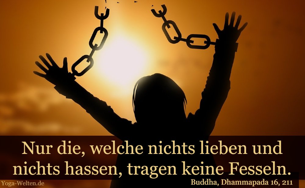 Nur die, welche nichts lieben und nichts hassen, tragen keine Fesseln.