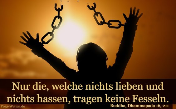 Nur die, welche nichts lieben und nichts hassen, tragen keine Fesseln.