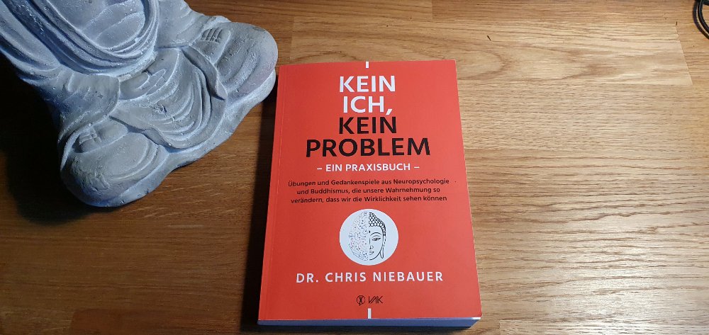 Praxisbuch: Kein Ich, kein Problem