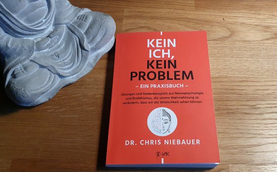 Praxisbuch: Kein Ich, kein Problem